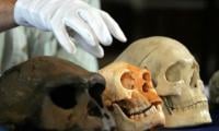 Did 'hobbit' Human Species Ever Hunt Or Use Fire? New Study Challenges Long-held Assumptions