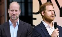 Prince William forced to face Prince Harry during UK visit