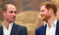 Prince William, Prince Harry's former aide breaks silence on royal brothers' feud