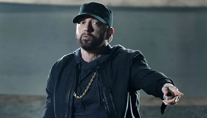Eminem suffers setback in Swim Shady trademark dispute