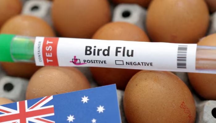 NSW becomes Australias third state with bird flu