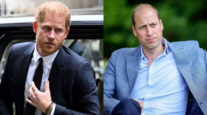 Prince William looking to ‘take refuge’ from Prince Harry chaos