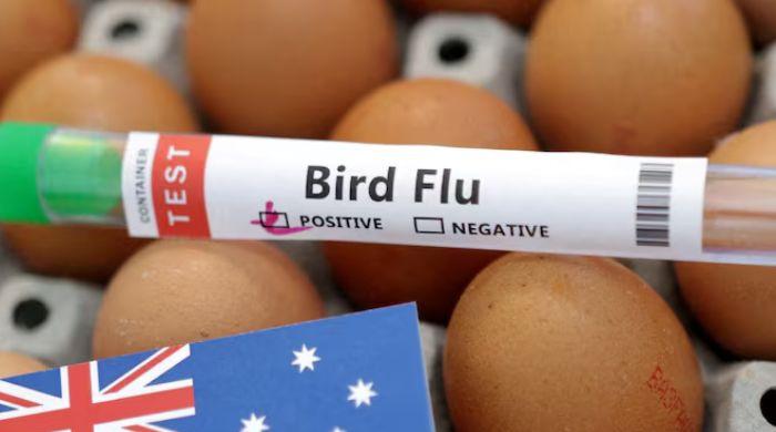 NSW becomes Australia's third state with bird flu