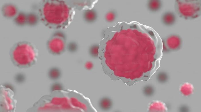 Study reveals human cells that compute like chips 