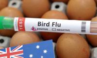 NSW Becomes Australia's Third State With Bird Flu