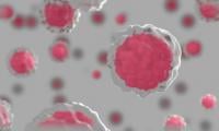 Study reveals human cells that compute like chips 