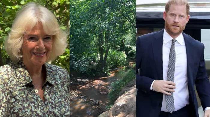 Queen Camilla in Sussex woods as Prince Harry arrives in UK