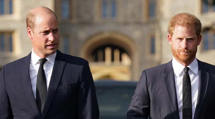 Prince William, Prince Harry share closes encounter in year