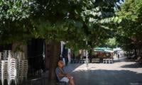WHO warns Europe faces more deadly weeks as new heatwave intensifies 