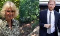 Queen Camilla in Sussex woods as Prince Harry arrives in UK