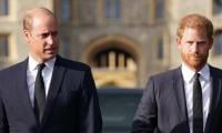 Prince William, Prince Harry share closes encounter in year