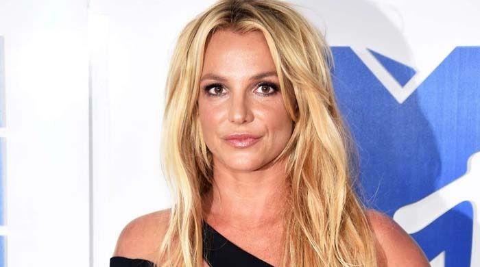 Britney Spears hints she wants another baby