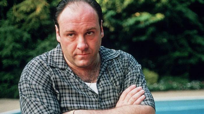 The Sopranos creator’s unexpected next project idea leaves mafia series behind
