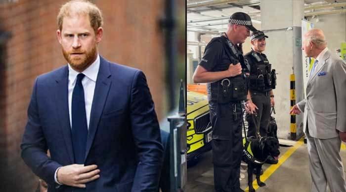 After Harry cancels family visit over security fears, King Charles moves to boost Britons’ safety