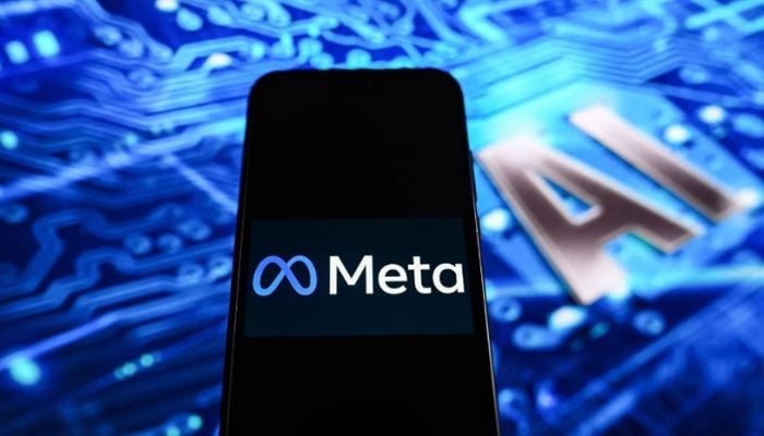 Meta to roll out custom AI chips in September to expand computing capacity