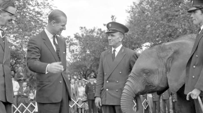 Palace delights fans with Queen Elizabeth's rare photo with penguins on London Zoo’s 200th anniversary 