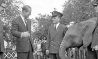 Palace delights fans with Queen Elizabeth's rare photo with penguins on London Zoo’s 200th anniversary 