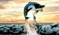 Warner Bros eyes hit Free Willy reboot to recreate '90s hit magic
