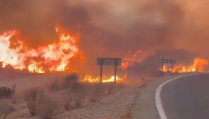 Deadly wildfire sweeps southern Spain, leaving 12 dead