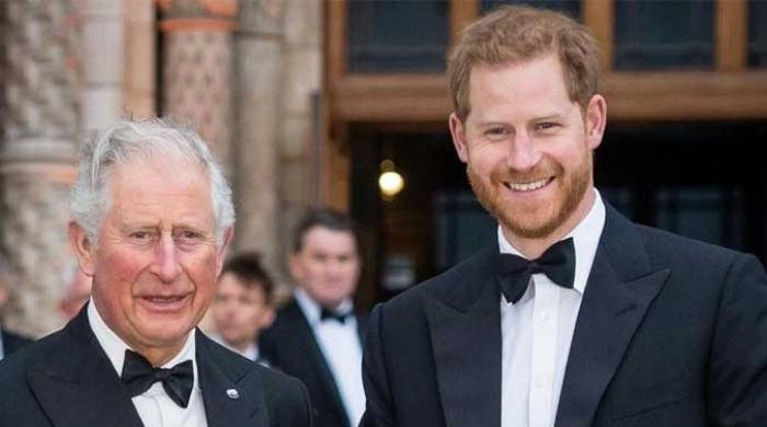 Prince Harry may turn down meeting with King Charles, say sources