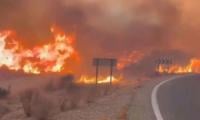 Deadly Wildfire Sweeps Southern Spain, Leaving 12 Dead