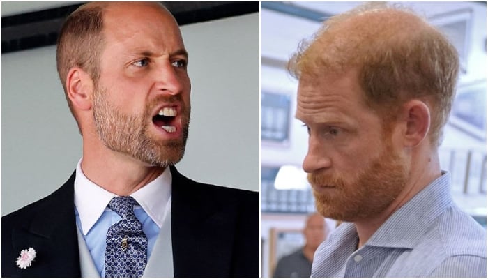 Prince William’s anguish comes out after Prince Harry’s UK visit