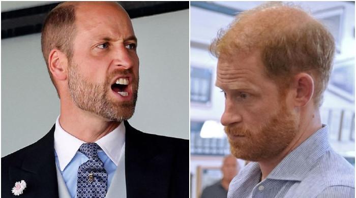 Prince William’s anguish comes out after Prince Harry’s UK visit