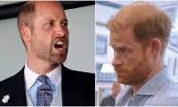 Prince William’s anguish comes out after Prince Harry’s UK visit