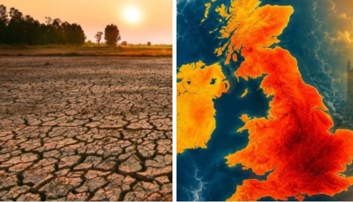 Super El Nino could drive food price surge into 2028, analysts warn