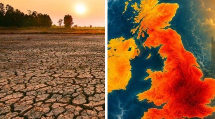 Super 'El Nino' could drive food price surge into 2028, analysts warn