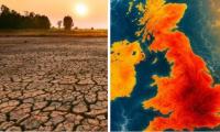 Super 'El Nino' could drive food price surge into 2028, analysts warn