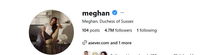 Meghan Markle’s activities remain suspended after King Charles meeting