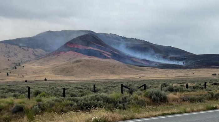 California's Elephant Fire spreads rapidly across three counties in the US