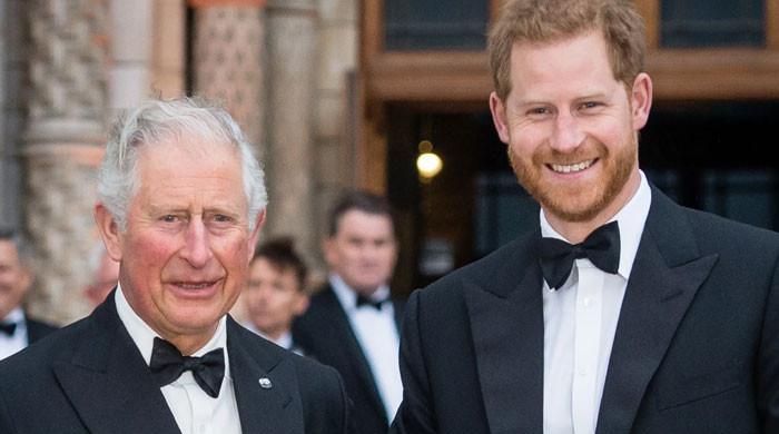 King Charles warned about Prince Harry: 'Poison for the monarchy'