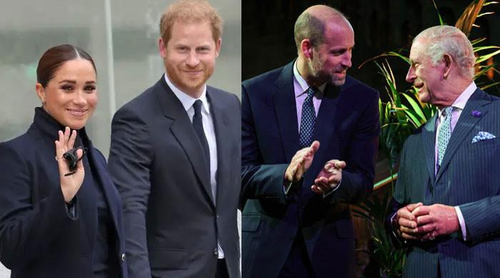 Royal expert finally reveals Prince William's reaction over Meghan Markle, Harry meeting with King Charles
