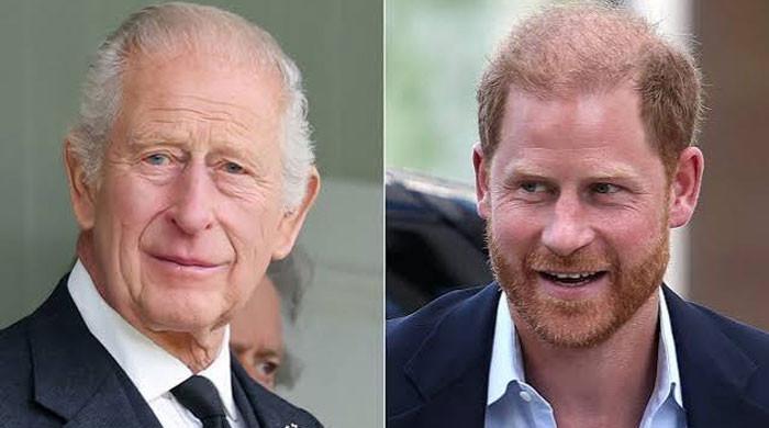 Prince Harry's friends share his true feelings after meeting King Charles with family