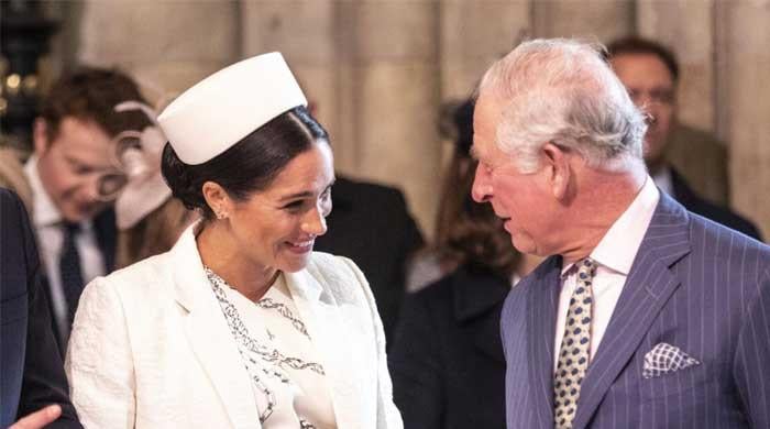 Meghan Markle’s activities remain suspended after King Charles meeting