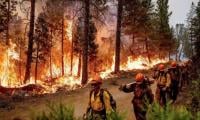 Wildfires Rage Near Paris, Trigger Evacuations And Major Travel Disruptions Amid Heatwave