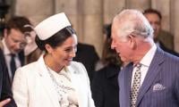 Meghan Markle’s activities remain suspended after King Charles meeting