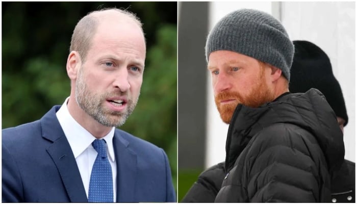 Prince William feelings towards King Charles’ meeting with Prince Harry comes out