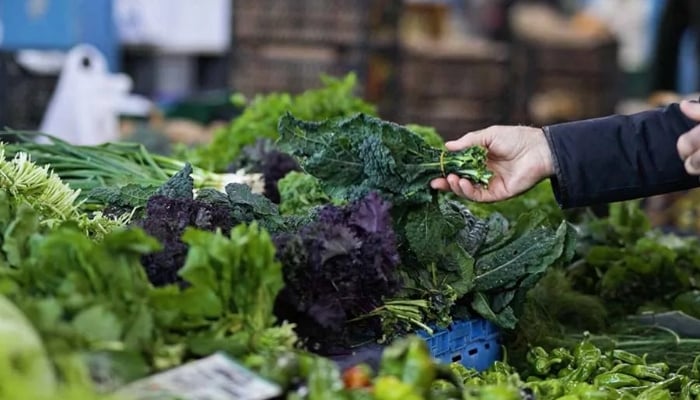 More than 3,000 sick in Michigan and Ohio as Cyclospora outbreak sparks lettuce warning