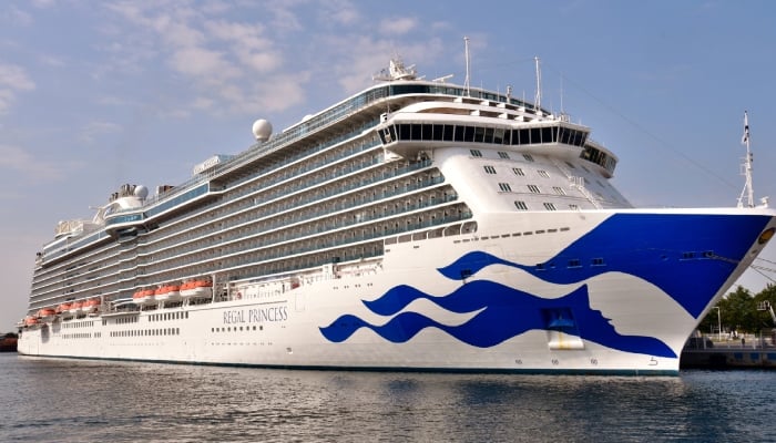 Princess Cruises confirms crew member died after going overboard