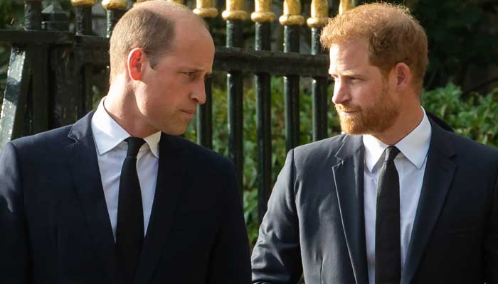 Could Prince William reunite with brother Harry after King Charles?