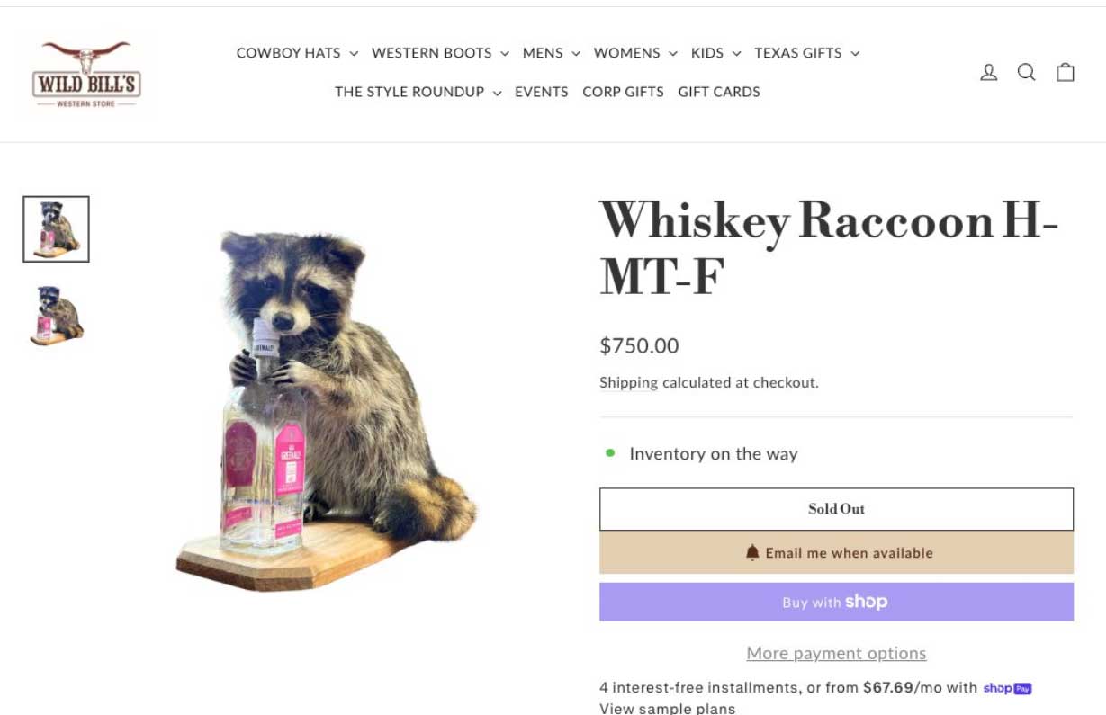Inside story of Erling Haalands $750 raccoon