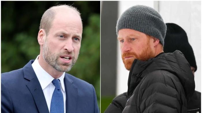 Prince William feelings towards King Charles’ meeting with Prince Harry comes out