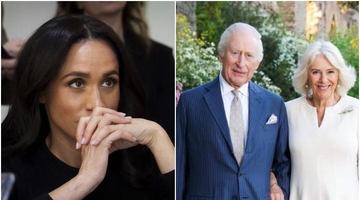 Why were King Charles, Camilla the only royal meeting with Archie, Lilibet? Insider