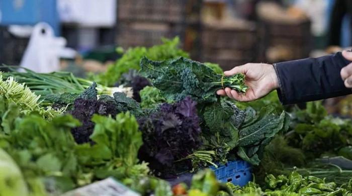 More than 3,000 sick in Michigan and Ohio as Cyclospora outbreak sparks lettuce warning