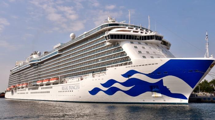 Princess Cruises confirms crew member died after going overboard