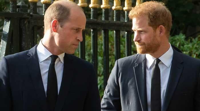 Could Prince William reunite with brother Harry after King Charles?