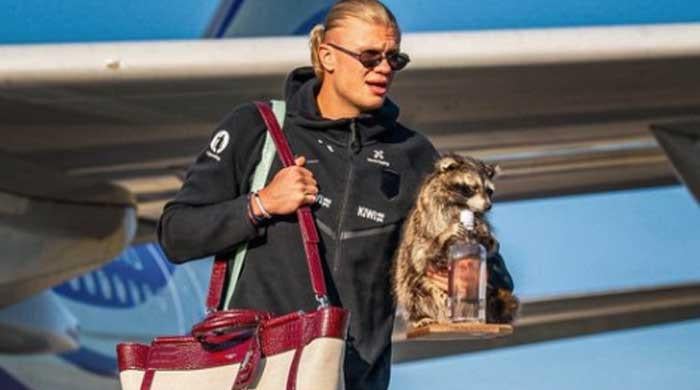 Inside story of Erling Haaland's $750 raccoon